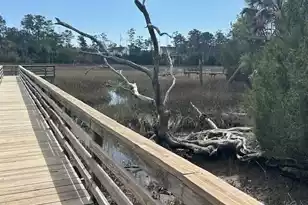 2040 Promenade Ct, Mount Pleasant, SC 29466 - Photo 45