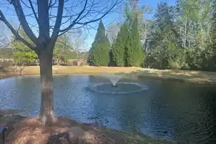 2040 Promenade Ct, Mount Pleasant, SC 29466 - Photo 35