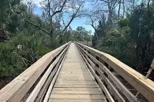 2040 Promenade Ct, Mount Pleasant, SC 29466 - Photo 39