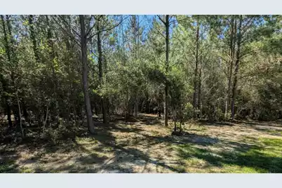 132 Oak Estates Way, Cross, SC 29472 - Photo 19