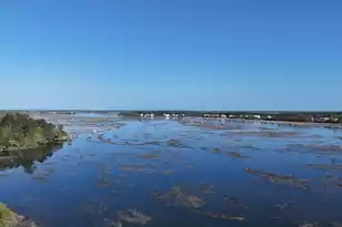 3582 Clambank Dr, Mount Pleasant, SC 29466 - Photo 85