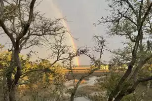 2020 Long Bend, Seabrook Island, SC 29455 - Photo 3