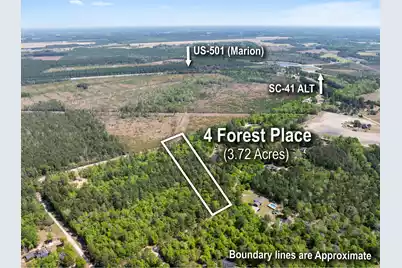 4 Forest Place, Marion, SC 29571 - Photo 1