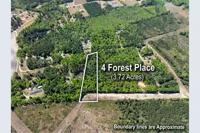 4 Forest Place, Marion, SC 29571 - Photo 5