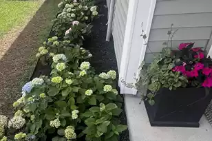 492 Rowley Ln, Summerville, SC 29486 - Photo 57