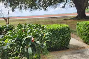 5497 Old Number Six Hwy, Elloree, SC 29047 - Photo 3