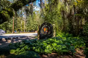 3035 Robeson Trce, Johns Island, SC 29455 - Photo 53