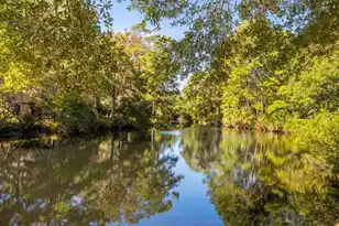 2112 Loblolly Ln, Seabrook Island, SC 29455 - Photo 31