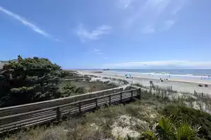 621 Arctic Ave E, Folly Beach, SC 29439 - Photo 47