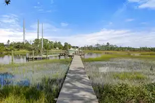 3015 Creek Cottage Ln, Johns Island, SC 29455 - Photo 13