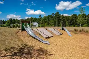 404 Gray Bark Rd, Summerville, SC 29486 - Photo 61