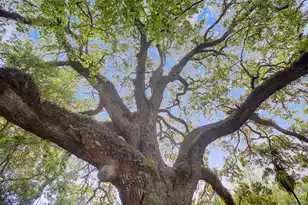 1119 Smithfield Pl, Hanahan, SC 29410 - Photo 31