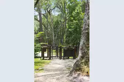 3013 Conservancy Lane, Charleston, SC 29414 - Photo 33