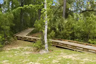 222 Port Tack Dr, Charleston, SC 29492 - Photo 41