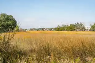 212 Live Oak Dr, Mount Pleasant, SC 29464 - Photo 65