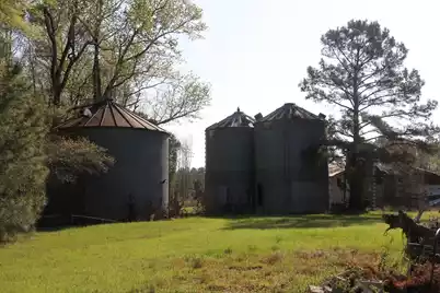 305 Ponderosa Road, Saint Matthews, SC 29135 - Photo 15