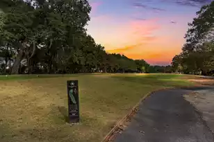 1108 Old Course Ln, Mount Pleasant, SC 29466 - Photo 33