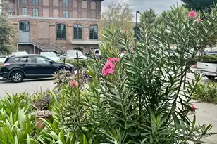 10 Blake St, Charleston, SC 29403 - Photo 5