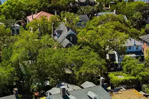 7 Lowndes St, Charleston, SC 29401 - Photo 71