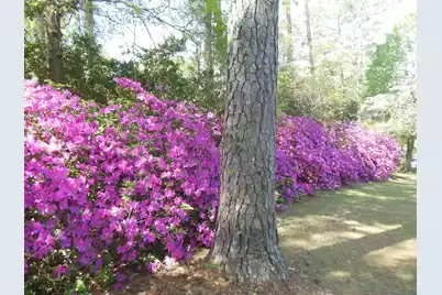 1267 Dogwood Drive, Orangeburg, SC 29118 - Photo 5