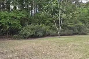 104 Jason Ln, Round O, SC 29474 - Photo 17