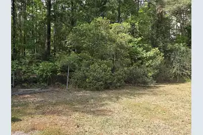 104 Jason Lane, Round O, SC 29474 - Photo 7