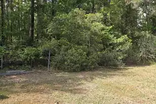 104 Jason Ln, Round O, SC 29474 - Photo 7