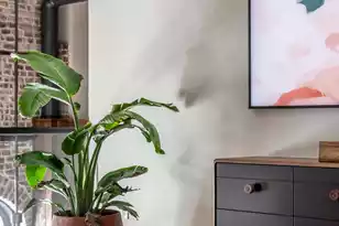 71 Wentworth St, Charleston, SC 29401 - Photo 41