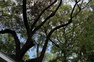 1929 Kerry St, North Charleston, SC 29406 - Photo 5