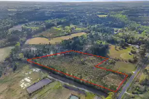 0 Mt Zion Rd, Saint George, SC 29477 - Photo 1