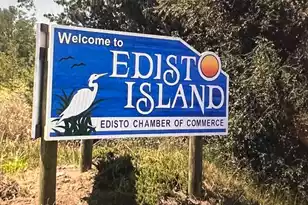 226 Sea Cloud Cir, Edisto Island, SC 29438 - Photo 37