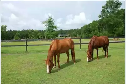 2003 United Drive, Huger, SC 29450 - Photo 1