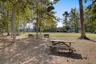 3046 Conservancy Ln, Charleston, SC 29414 - Photo 45