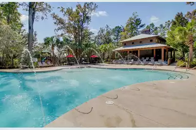 3046 Conservancy Lane, Charleston, SC 29414 - Photo 41