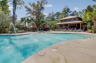 3046 Conservancy Ln, Charleston, SC 29414 - Photo 41