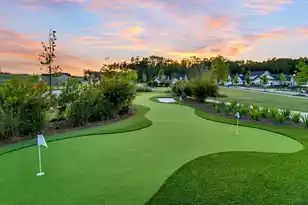 1126 Coastal Crk Ct, Summerville, SC 29485 - Photo 57