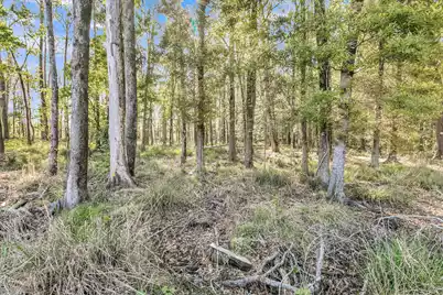 1126 Coastal Creek Court, Summerville, SC 29485 - Photo 51