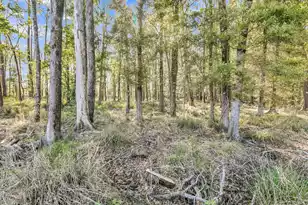 1126 Coastal Crk Ct, Summerville, SC 29485 - Photo 51