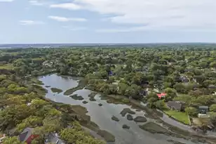 1221 Valley Forge Dr, Charleston, SC 29412 - Photo 47