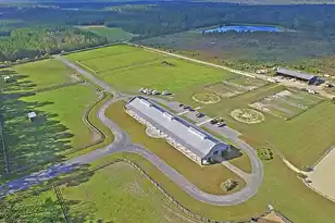 4158 Home Town Ln, Ravenel, SC 29470 - Photo 79