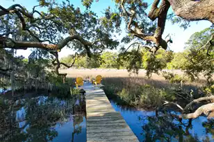 887 Parrot Creek Way, Charleston, SC 29412 - Photo 75