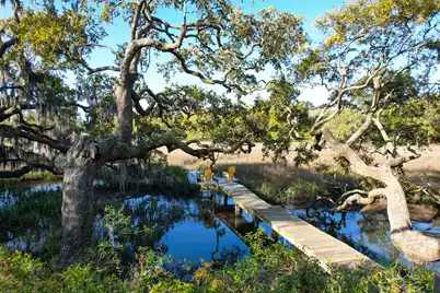 887 Parrot Creek Way, Charleston, SC 29412 - Photo 71