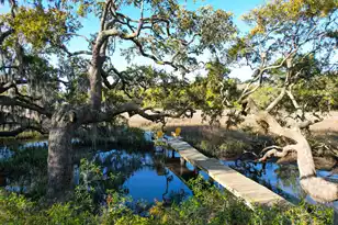887 Parrot Creek Way, Charleston, SC 29412 - Photo 71