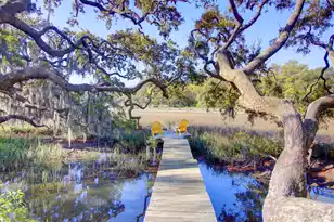 887 Parrot Creek Way, Charleston, SC 29412 - Photo 5