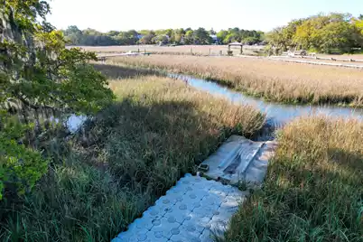 887 Parrot Creek Way, Charleston, SC 29412 - Photo 77