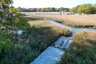 887 Parrot Creek Way, Charleston, SC 29412 - Photo 77