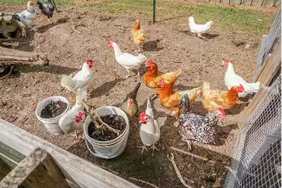 135 General Washington Boulevard, Bonneau, SC 29431 - Photo 57