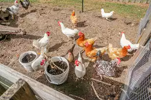 135 General Washington Blvd, Bonneau, SC 29431 - Photo 57