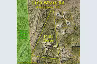 1183 White Road, Awendaw, SC 29429 - Photo 41