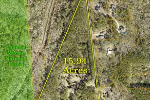 1183 White Rd, Awendaw, SC 29429 - Photo 41